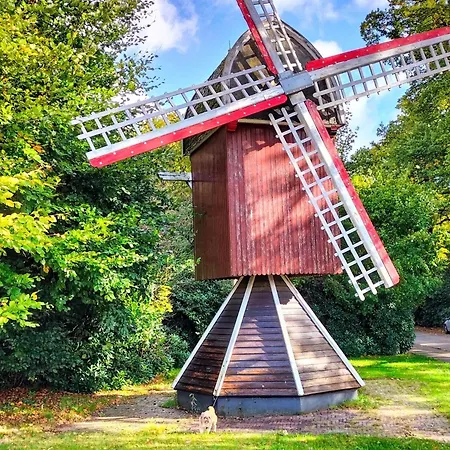 Elmo Bad Zwischenahn